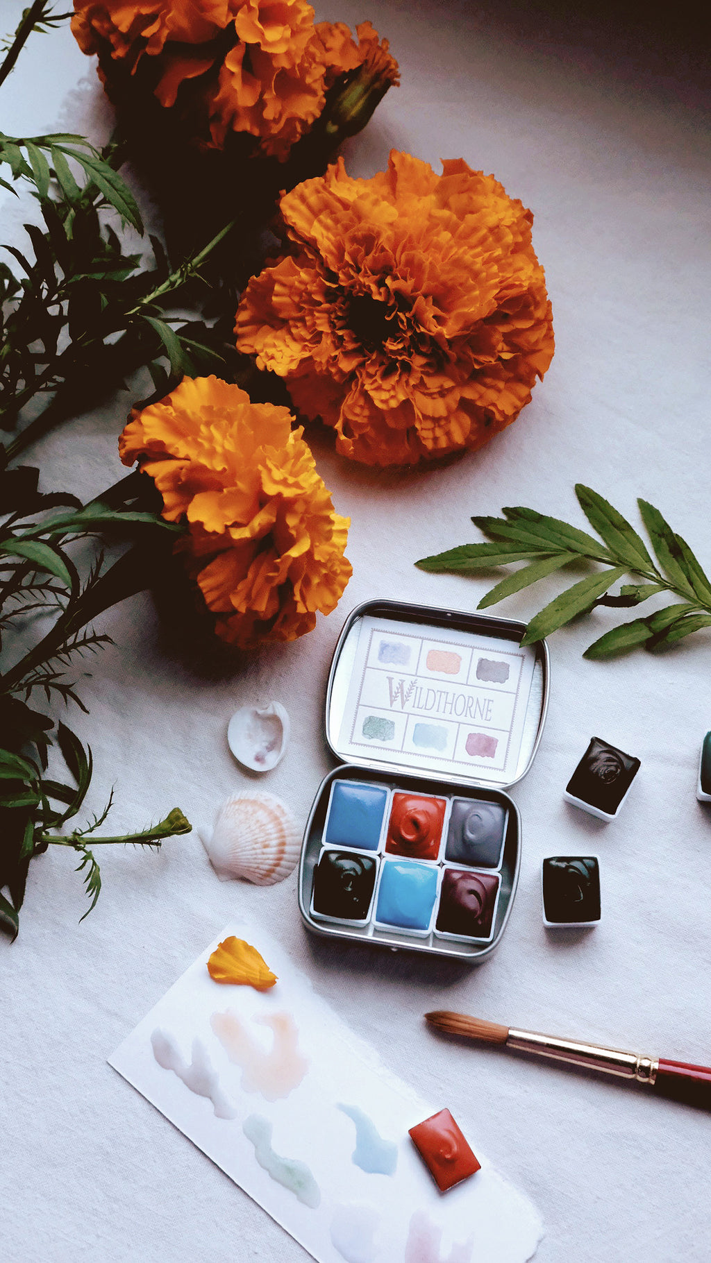 Flower Spindle Watercolor Palette — Wildthorne Exclusive mineral watercolors