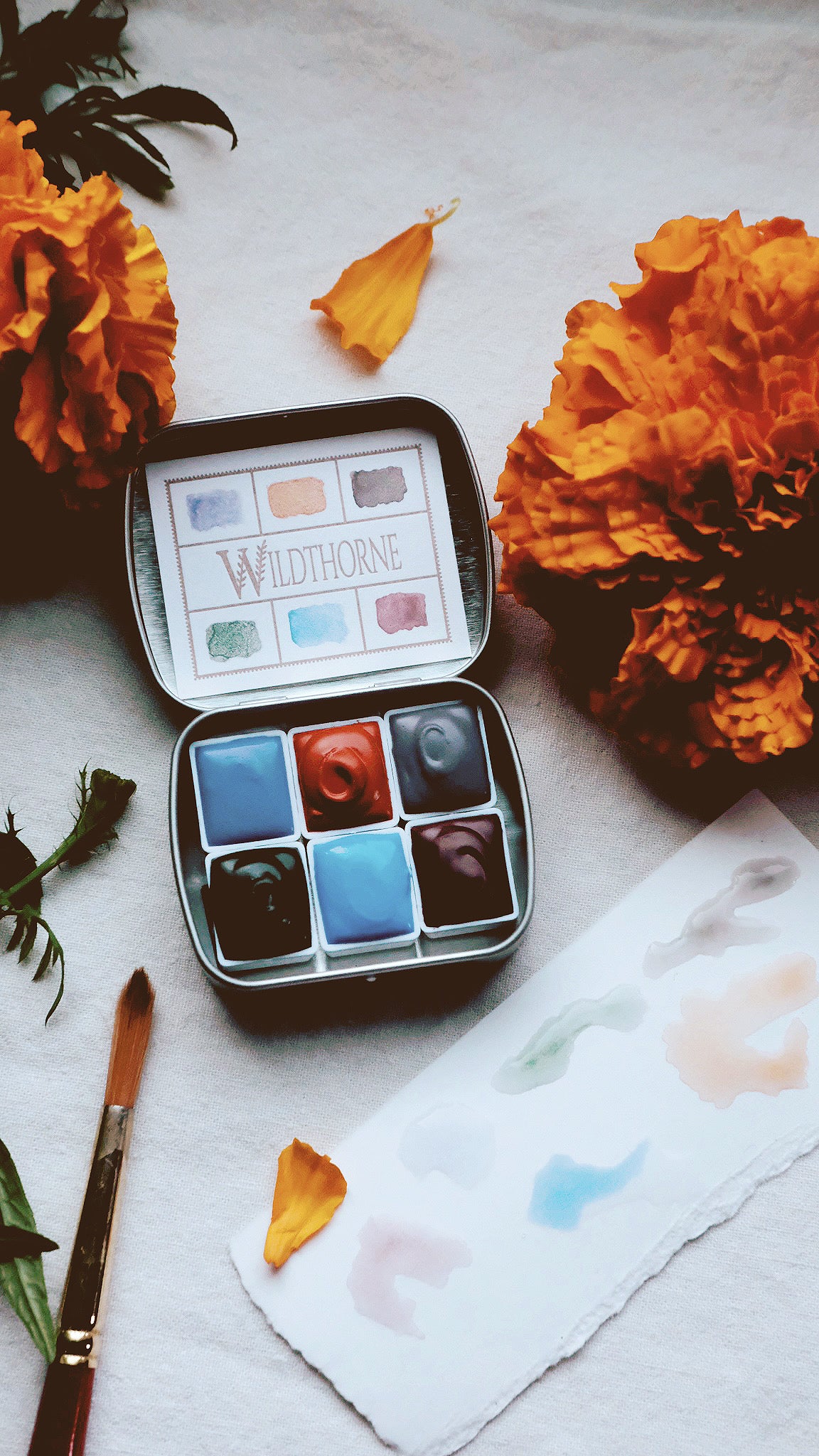 Flower Spindle Watercolor Palette — Wildthorne Exclusive mineral watercolors