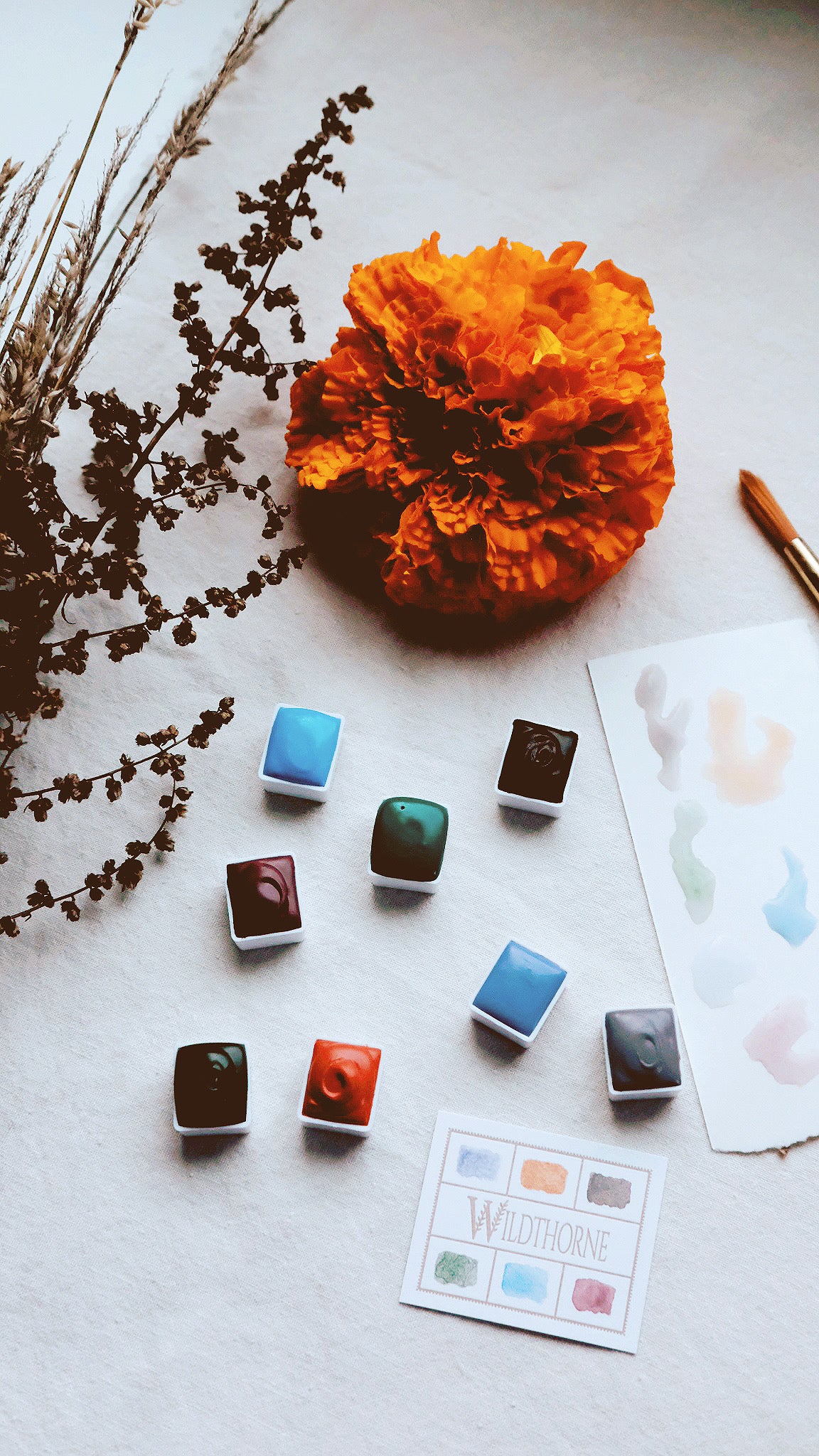 Marigold +  mineral watercolor