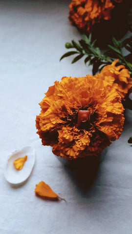 Marigold +  mineral watercolor