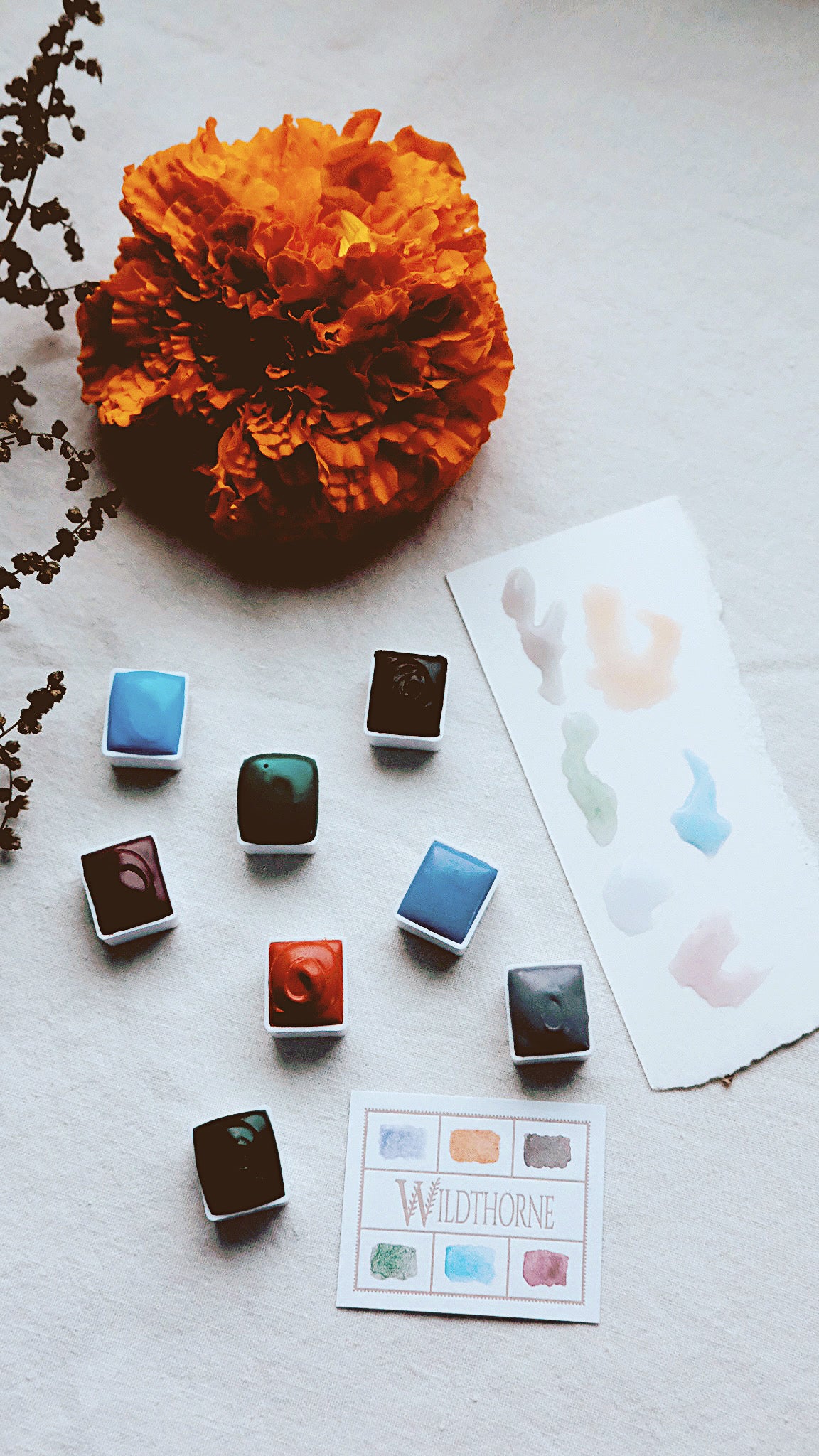 Flower Spindle Watercolor Palette — Wildthorne Exclusive mineral watercolors