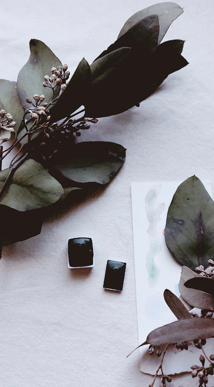 Clary Sage +  mineral watercolor