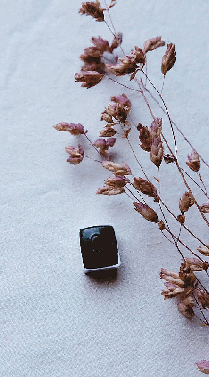 Clary Sage +  mineral watercolor