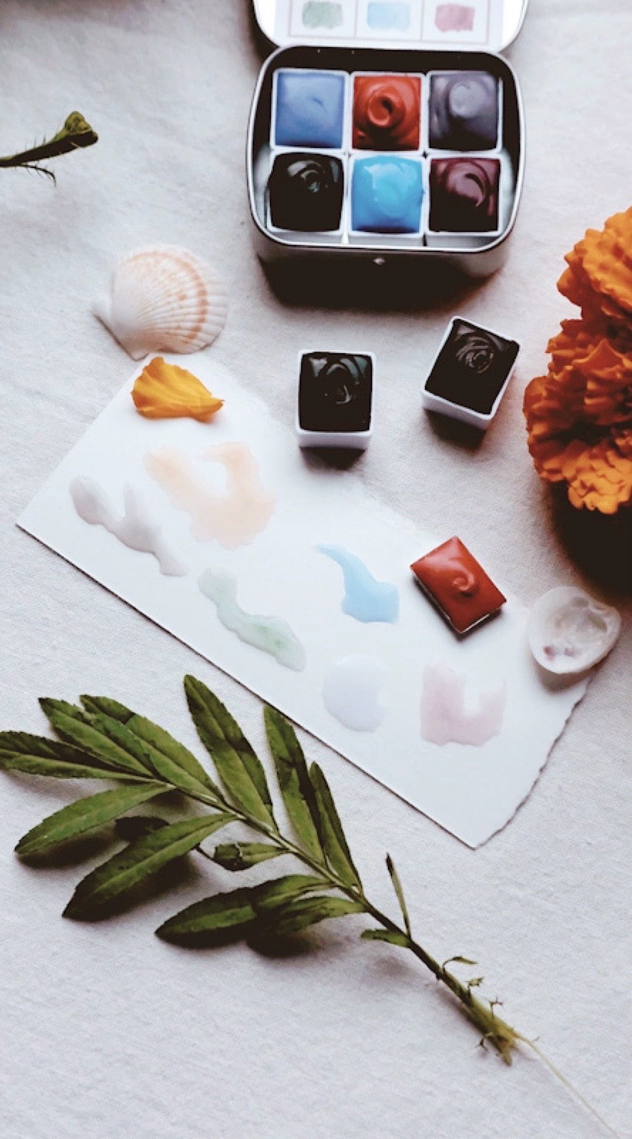 Lavender Cotton +  mineral watercolor