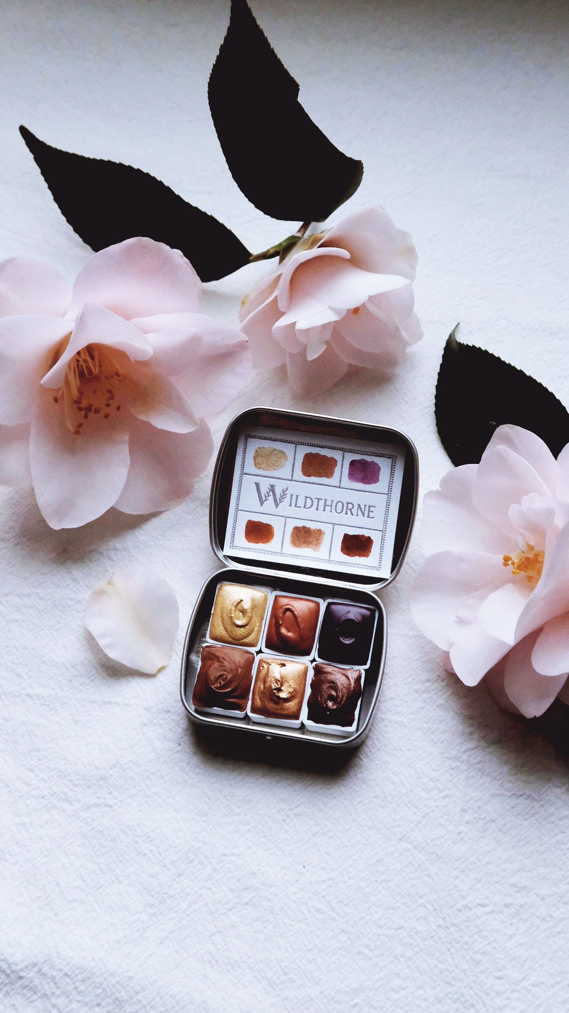 Golden Chai Confections