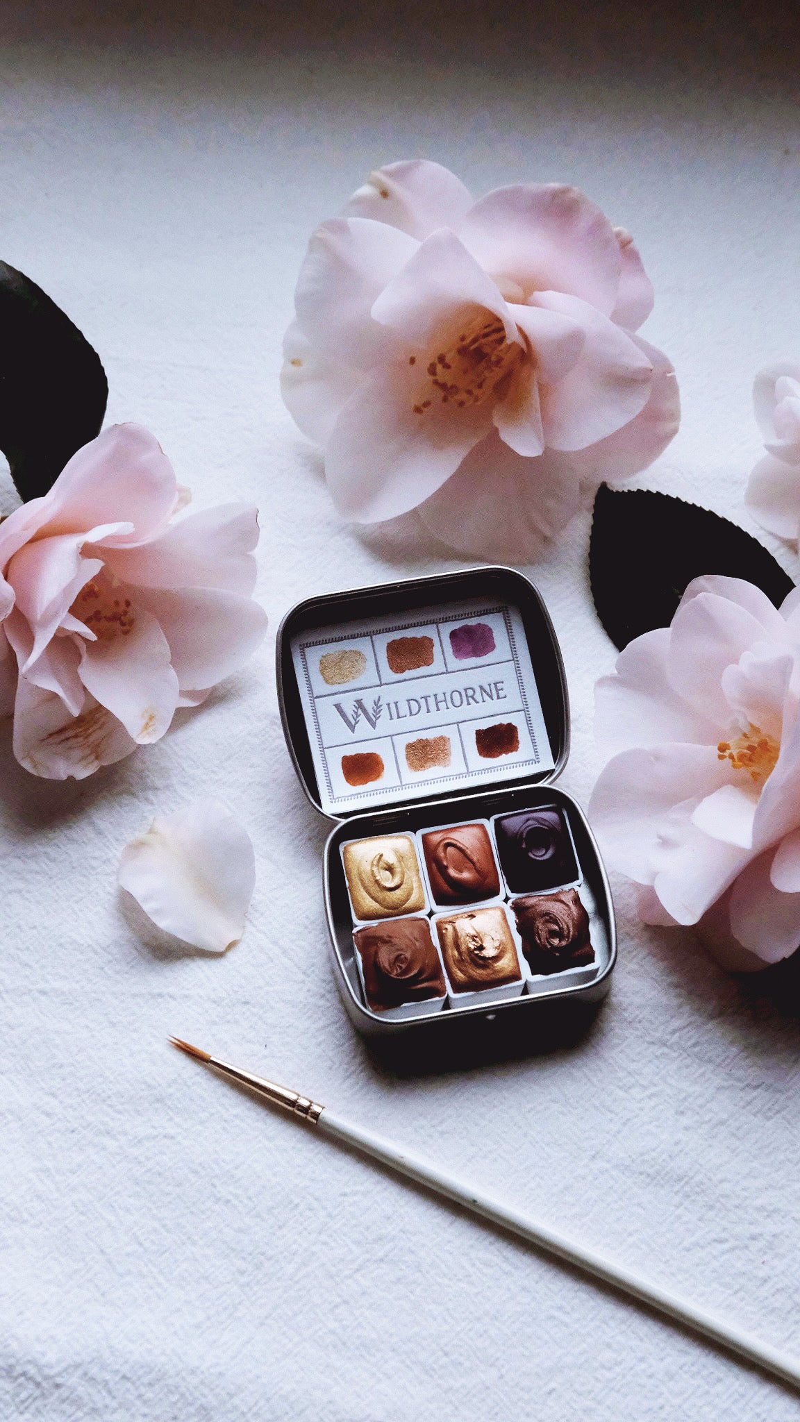 Golden Chai Confections
