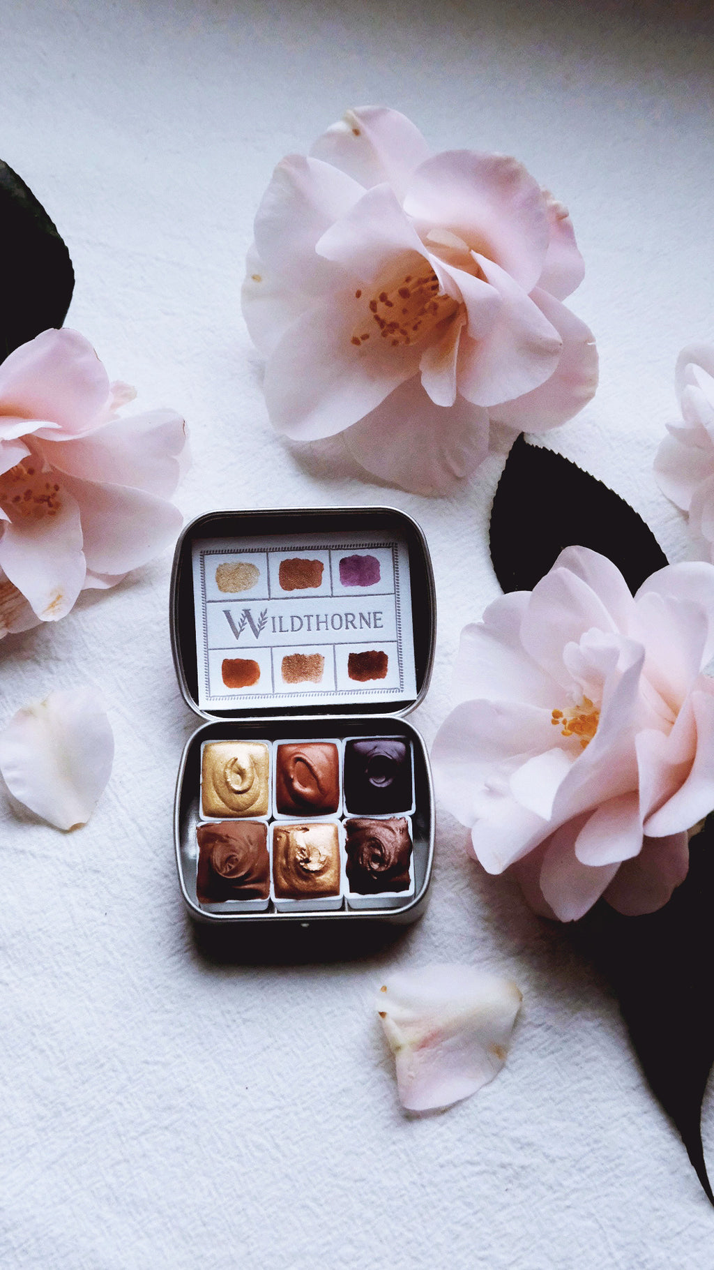 Golden Chai Confections