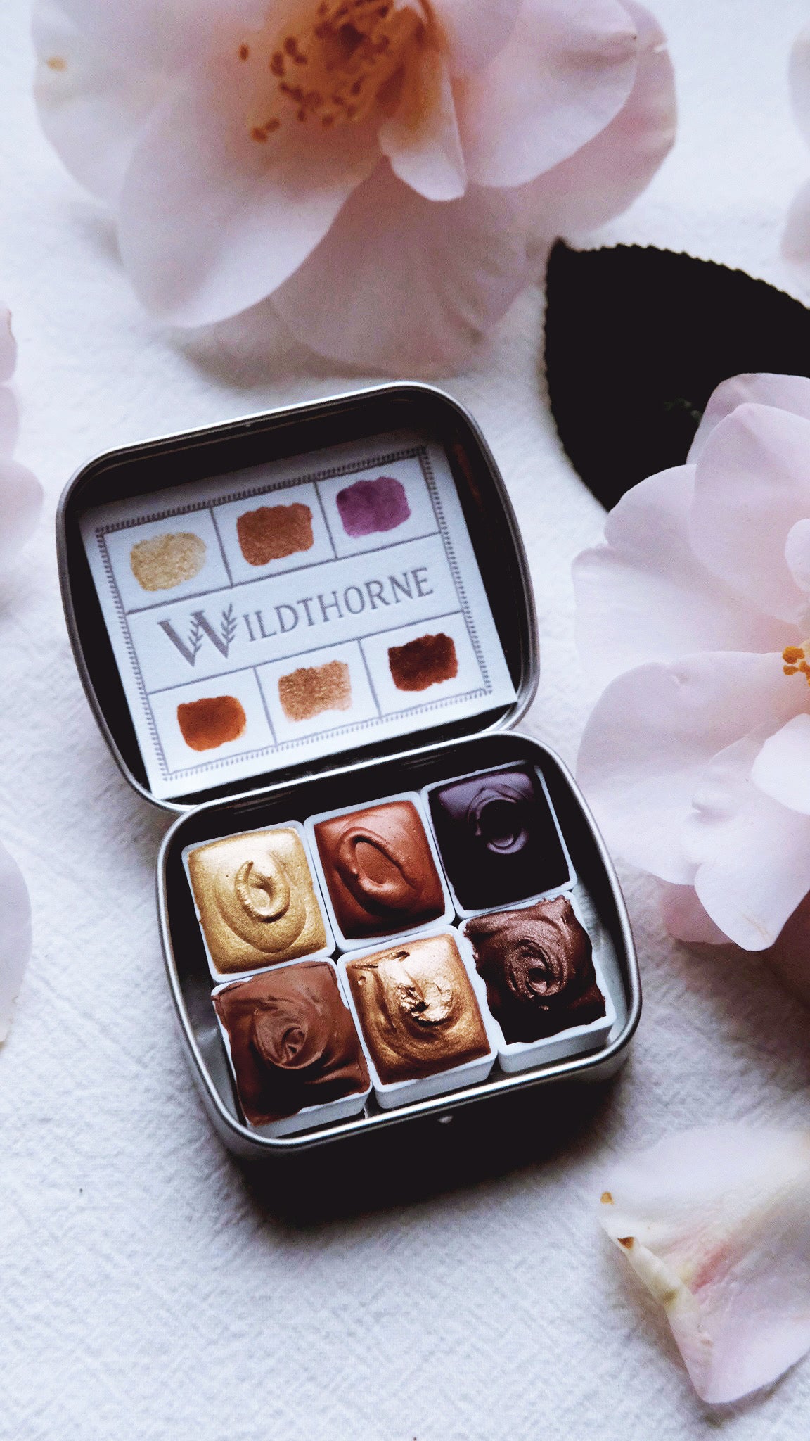 Golden Chai Confections