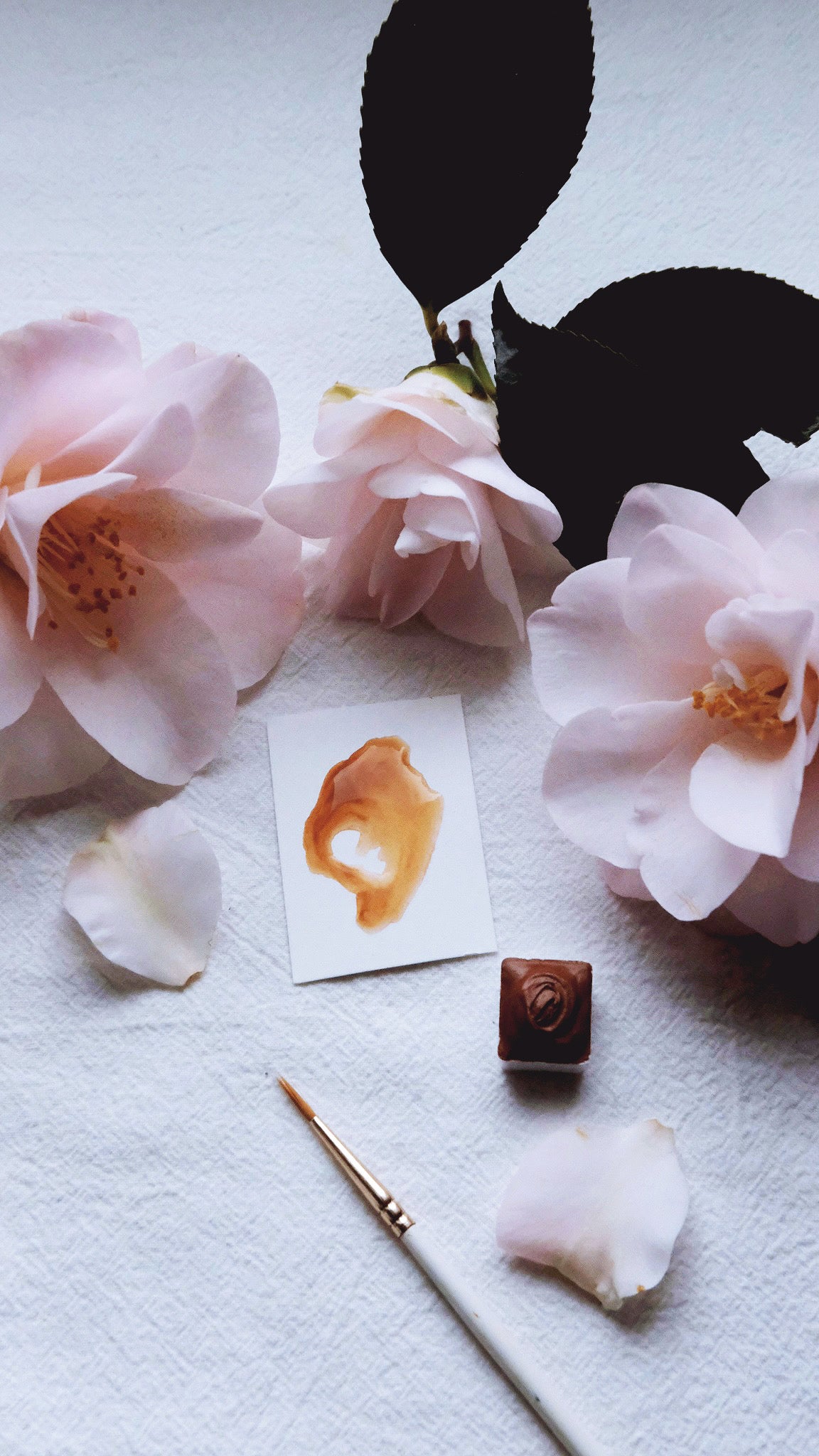 Cinnamon Bark