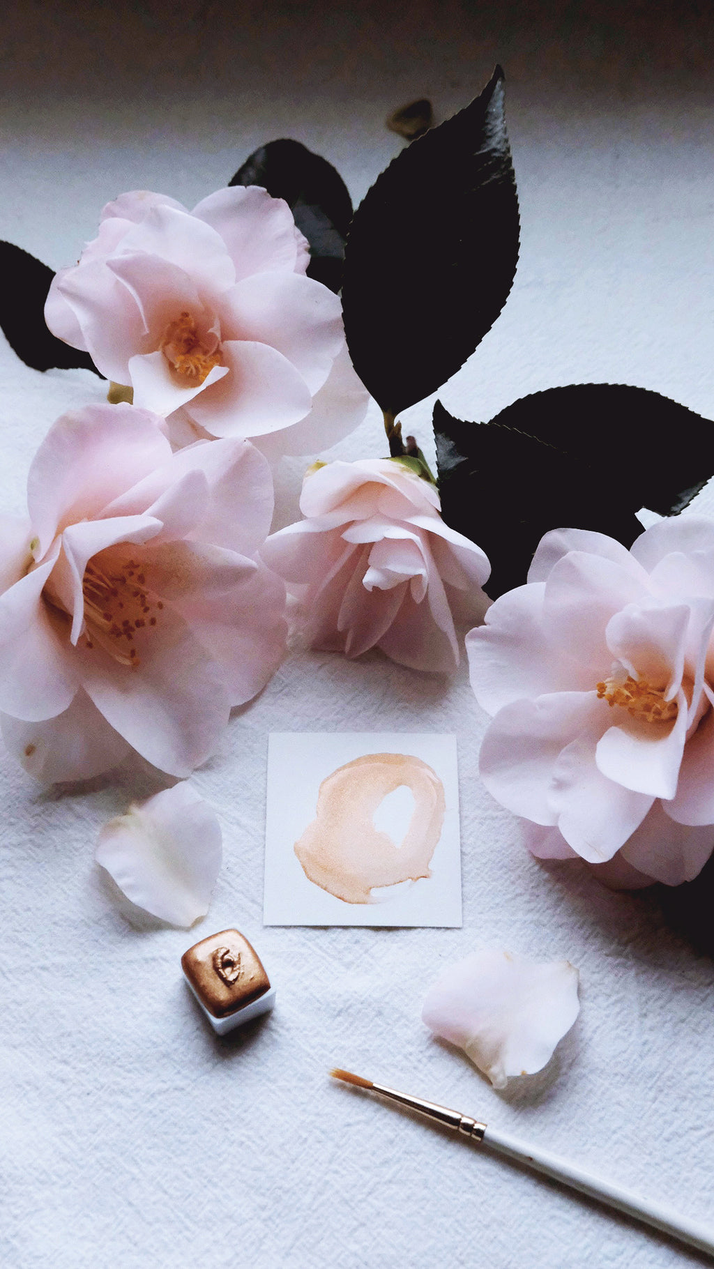 Caramel Cream - An Exploration