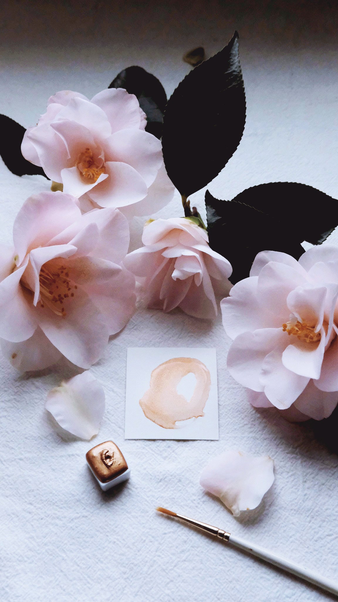 Caramel Cream - An Exploration