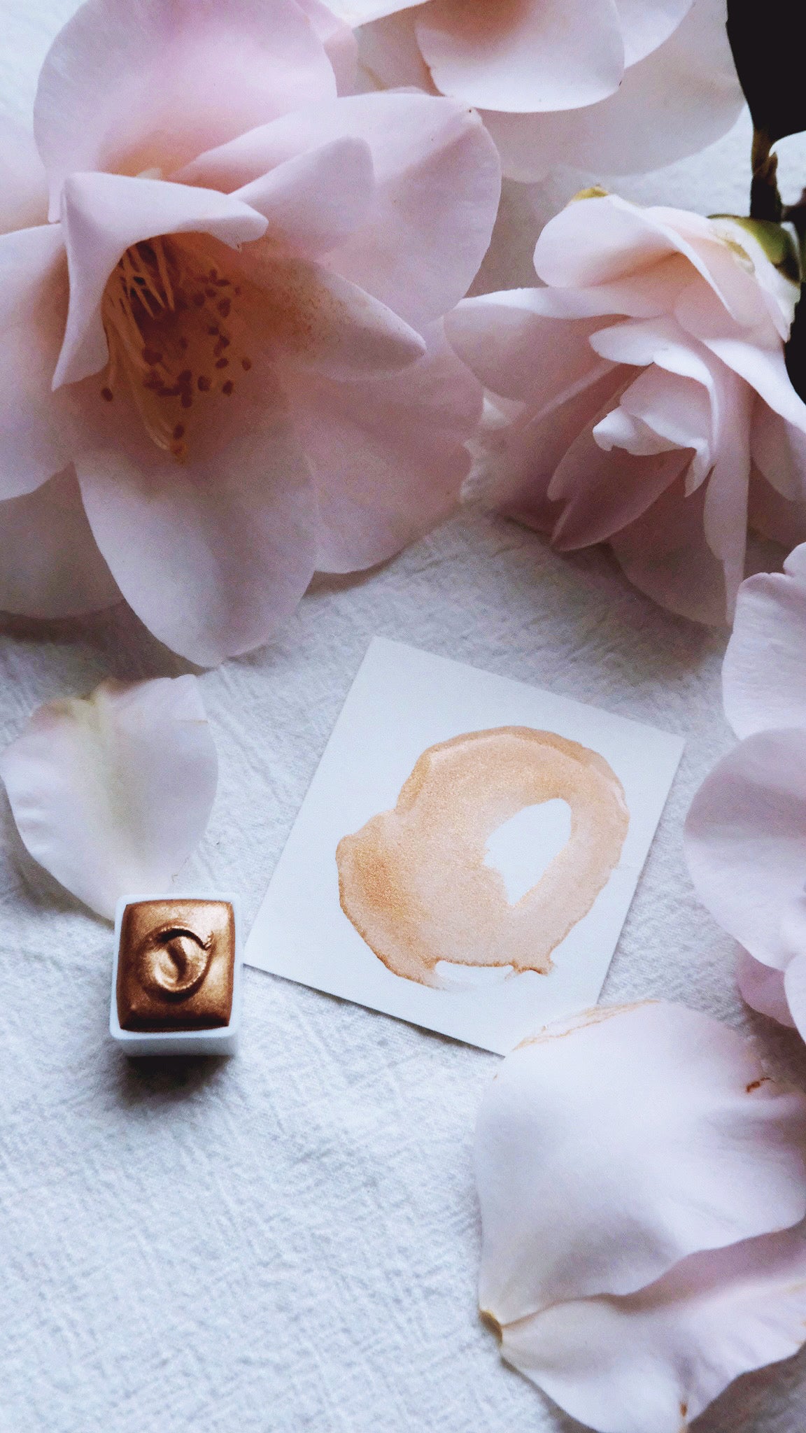Caramel Cream