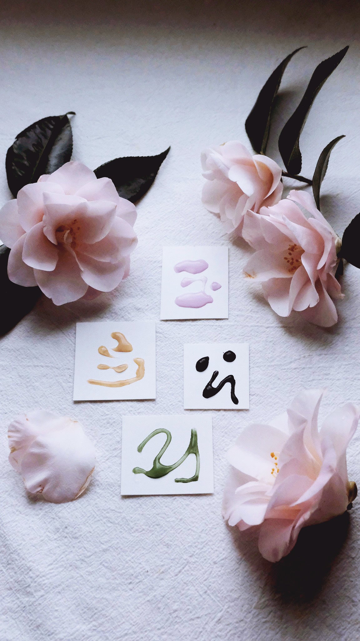 Silk Cotton