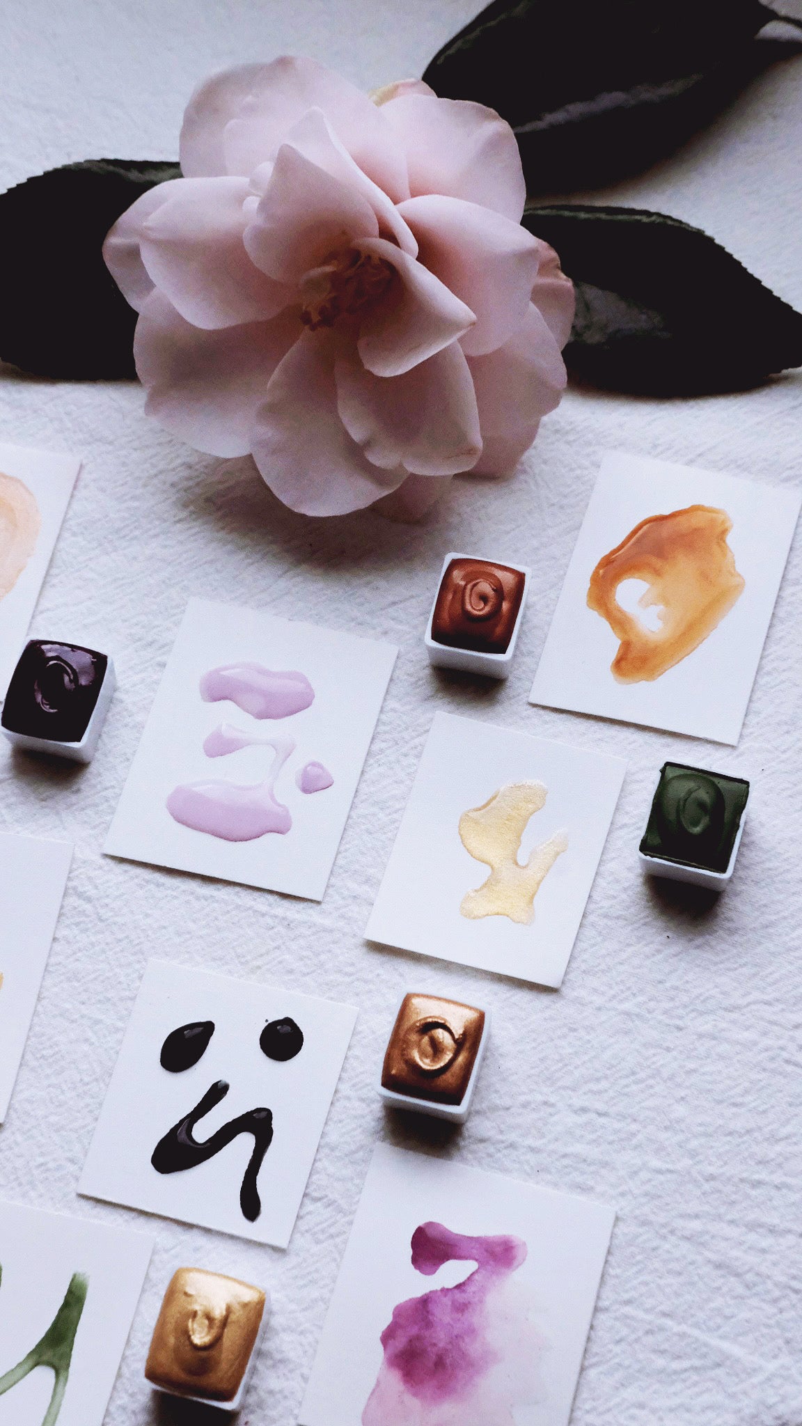 Golden Chai Confections