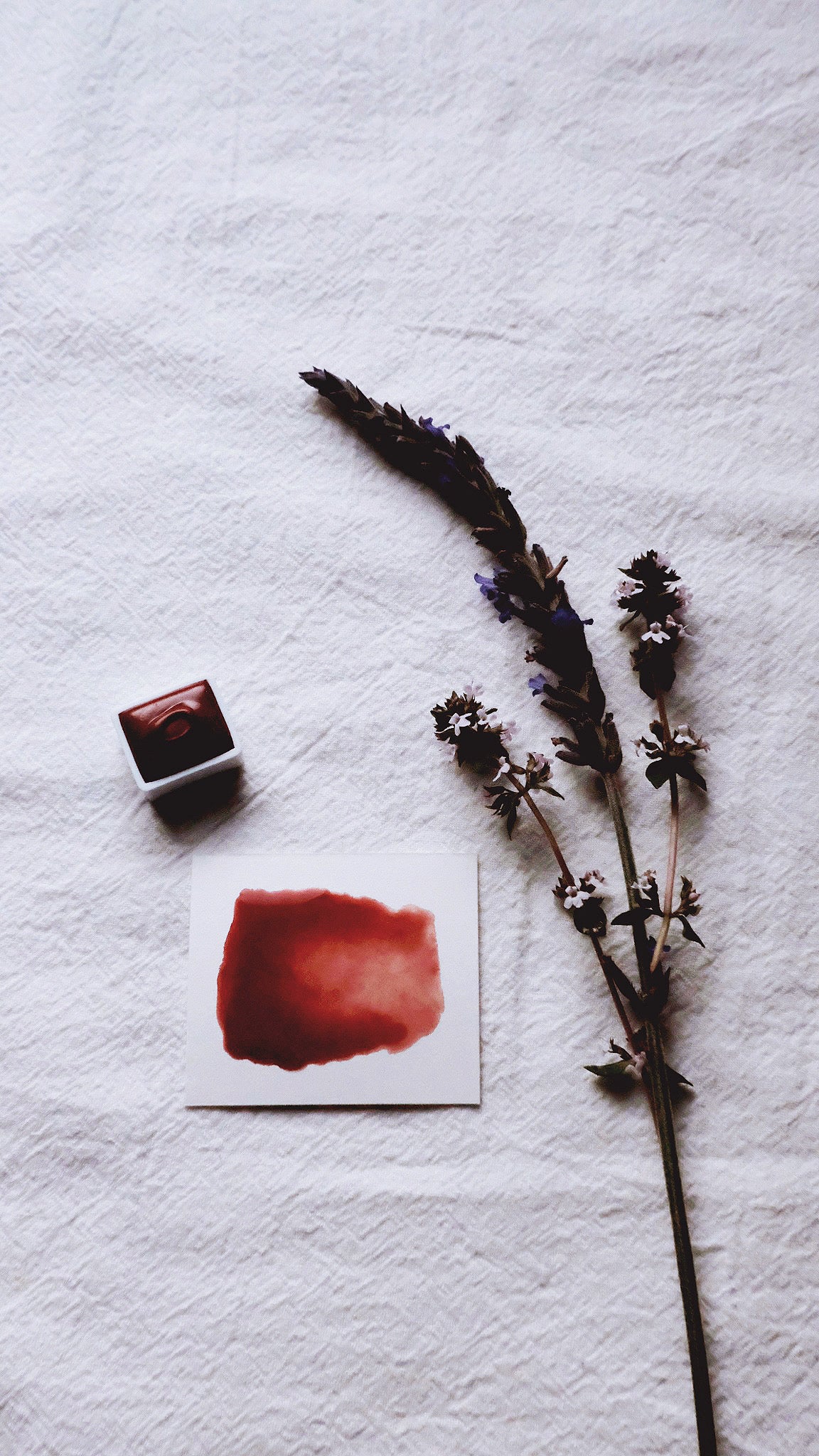 Wild Strawberry