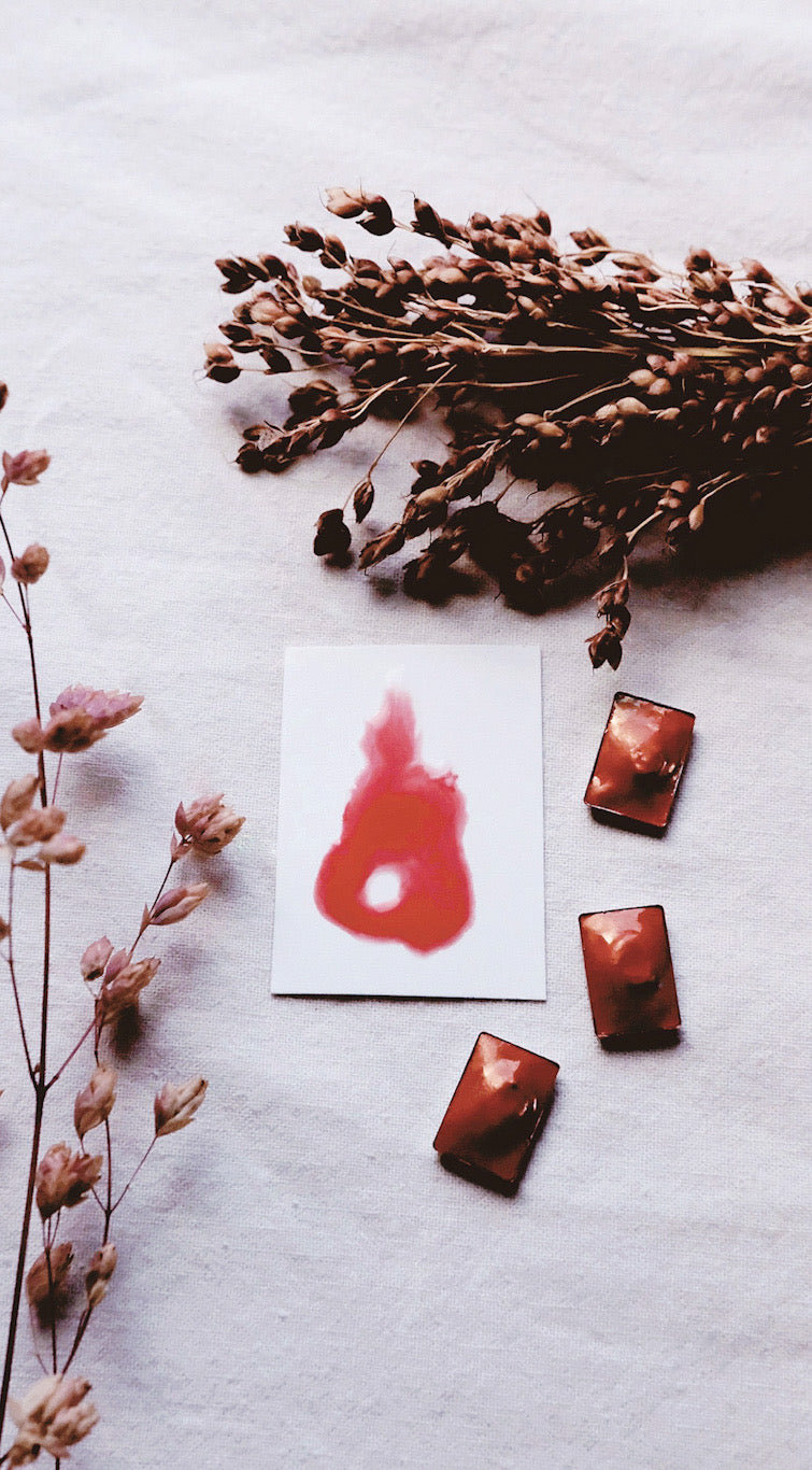 Penstemon +  mineral shimmer watercolor