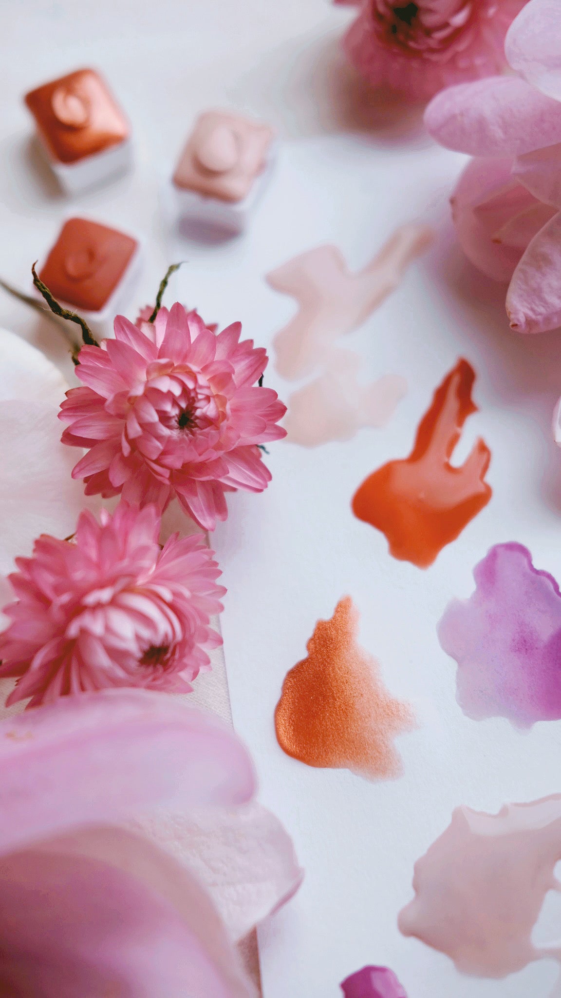 RESERVE for Elsa + custom Spring Blossom watercolors