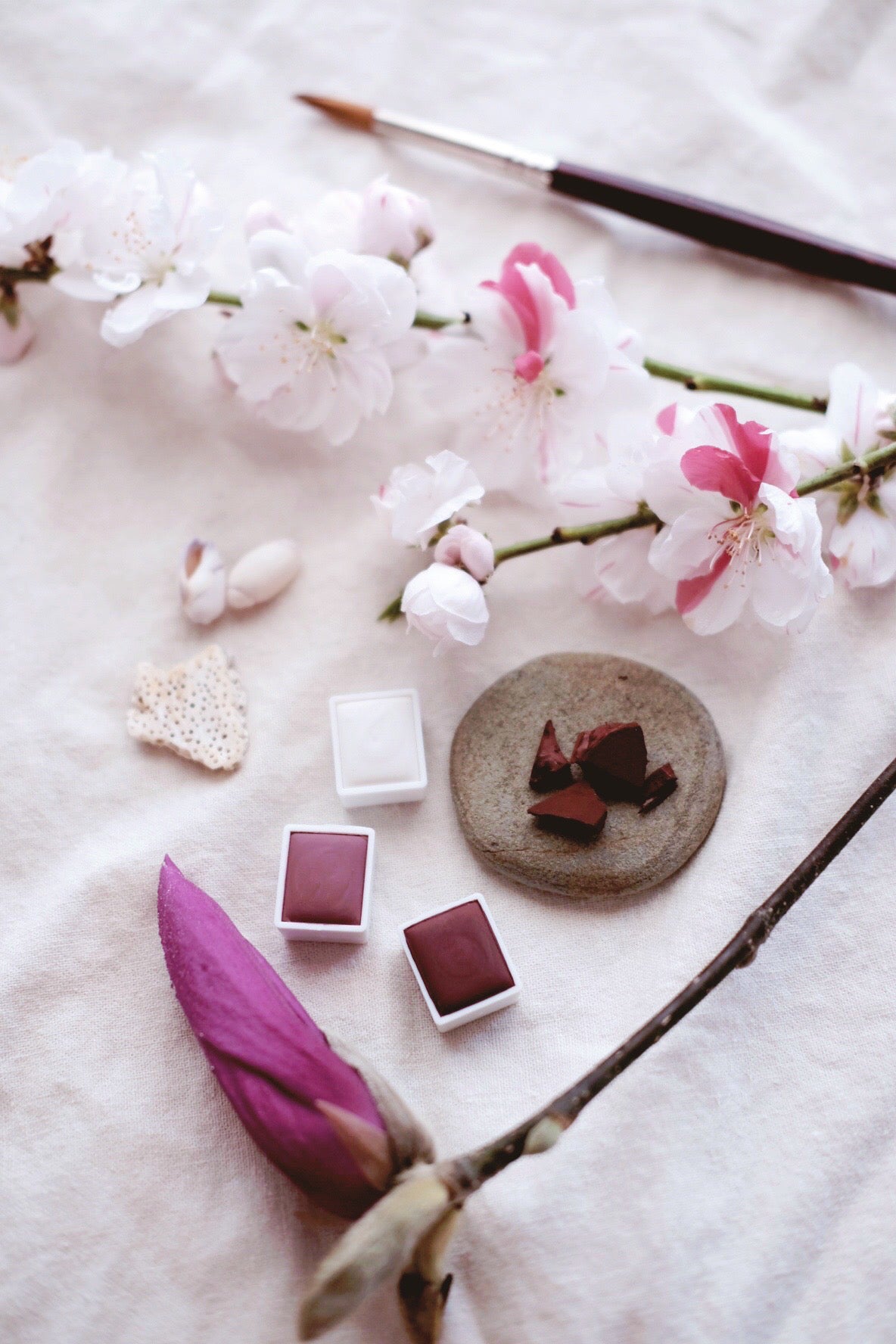 The Archetypal Palette — A Chromatic Ritual Companion