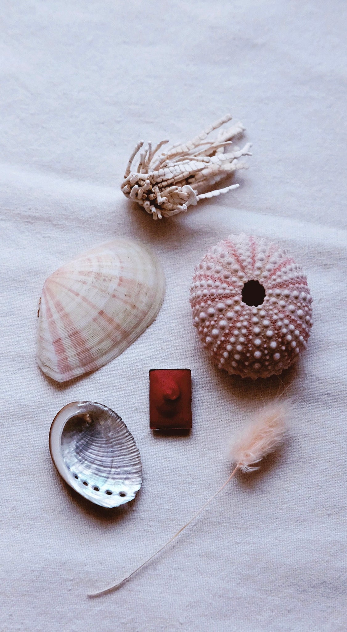 Vérité Minis + Coral Bells - Petite watercolor pans