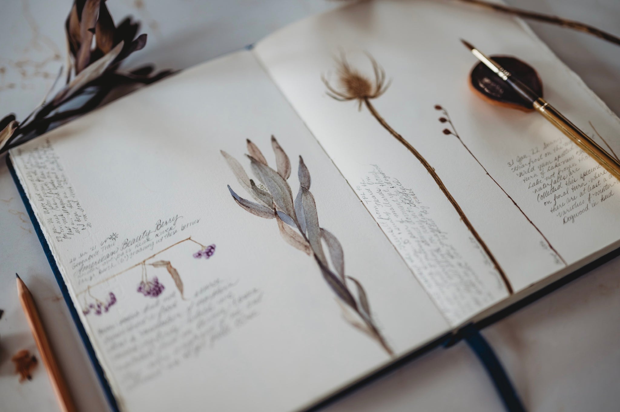 The Naturalist’s Palette