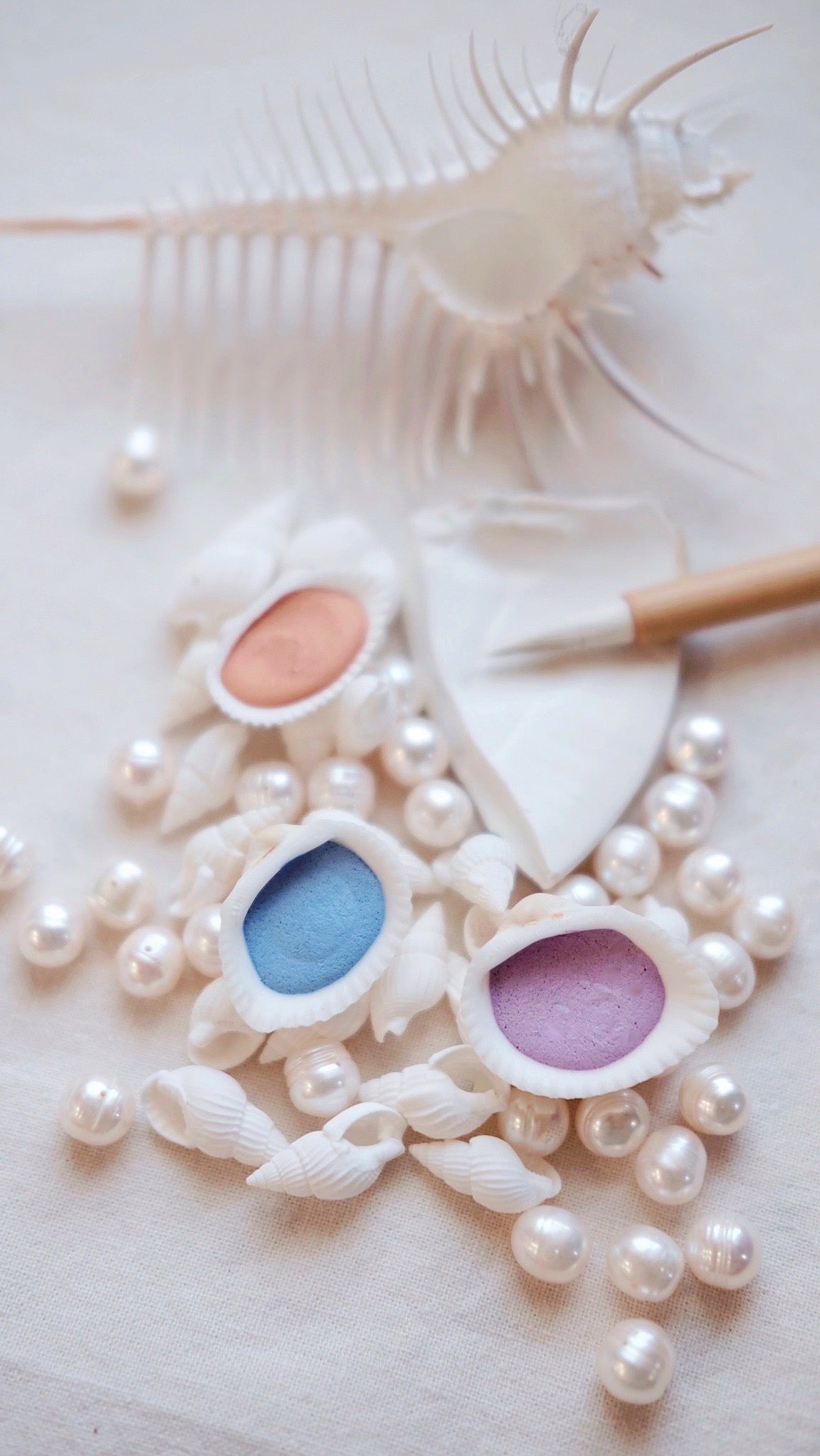 Seashell shimmers + Eco-friendly seashell watercolor