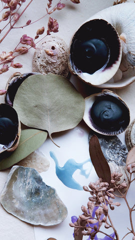 Halicreas + Eco-friendly seashell watercolor