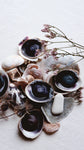 RESERVE for Julene +  Sea Urchin + Eco-friendly seashell watercolor