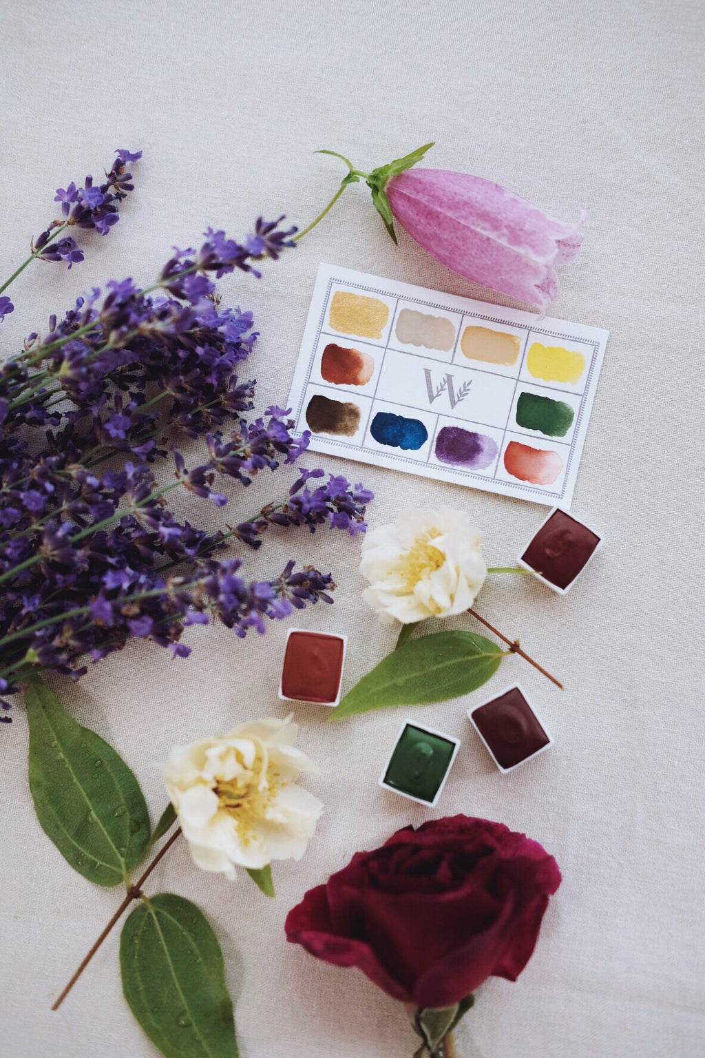 RESERVE for Annie + Dandelion + Earth Mineral watercolor palette